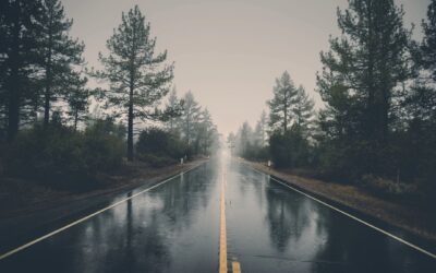How Trauma Impacts the Body: It’s More Than Just in Your Head
